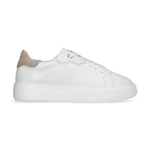 Dasia Sneakers Ardisia