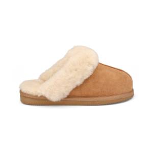 Shepherd Toffla Jessica